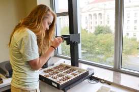 1476753627396-rendition-large